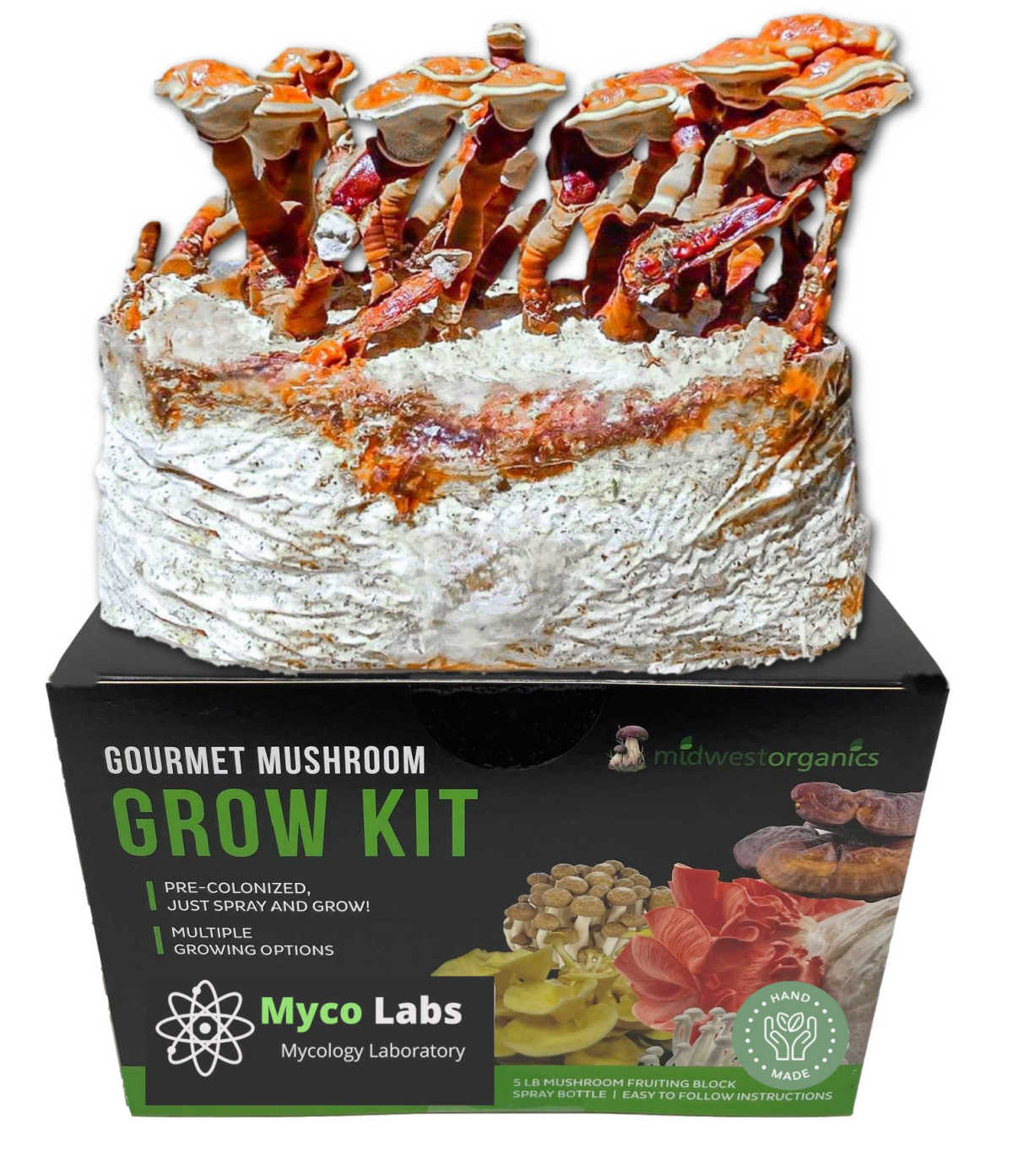 Premium Midwest Grow Kits - 5lb Red Reishi Mushroom Growing Kit | Organic Mushroom Cultivation Supplies | Perfect for Home Gardening, Wellness & DIY Herbal Remedies