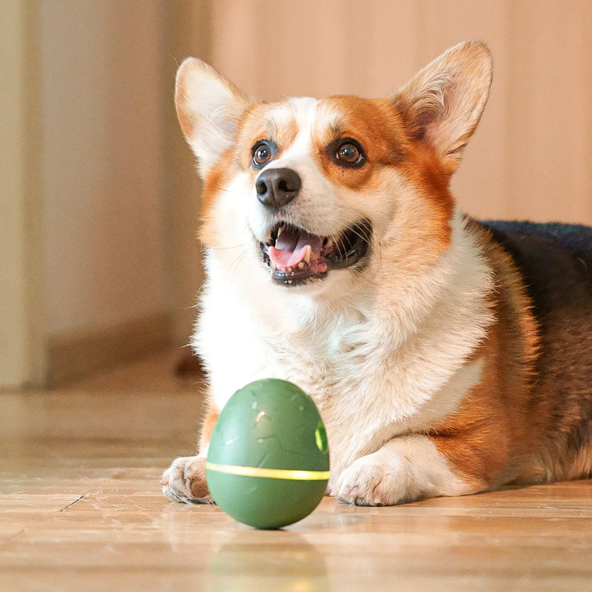 Cheerble Wicked Egg Interactive Pet Toy for Cats & Dogs - Fun Automatic Rolling Ball with LED Lights for Indoor Playtime & Exercise