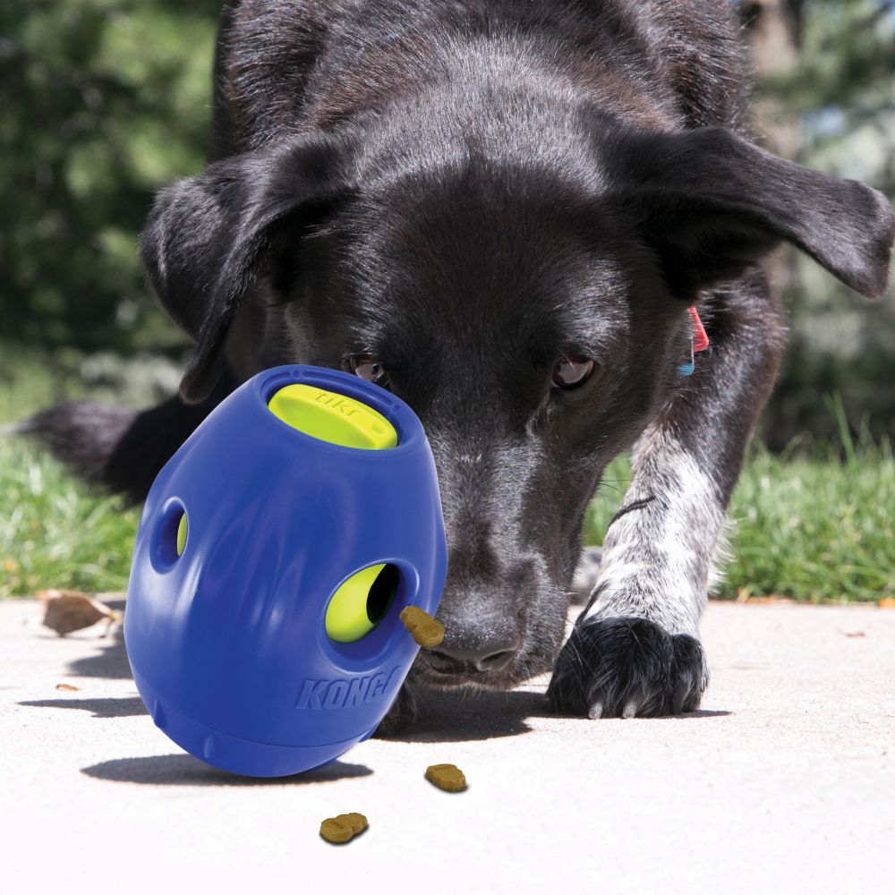 Kong Tikr Treat Dispenser - Interactive Dog Toy for Training & Mental Stimulation - Perfect for Small to Medium Dogs - Slow Feeder & Reward Dispenser for Indoor/Outdoor Play