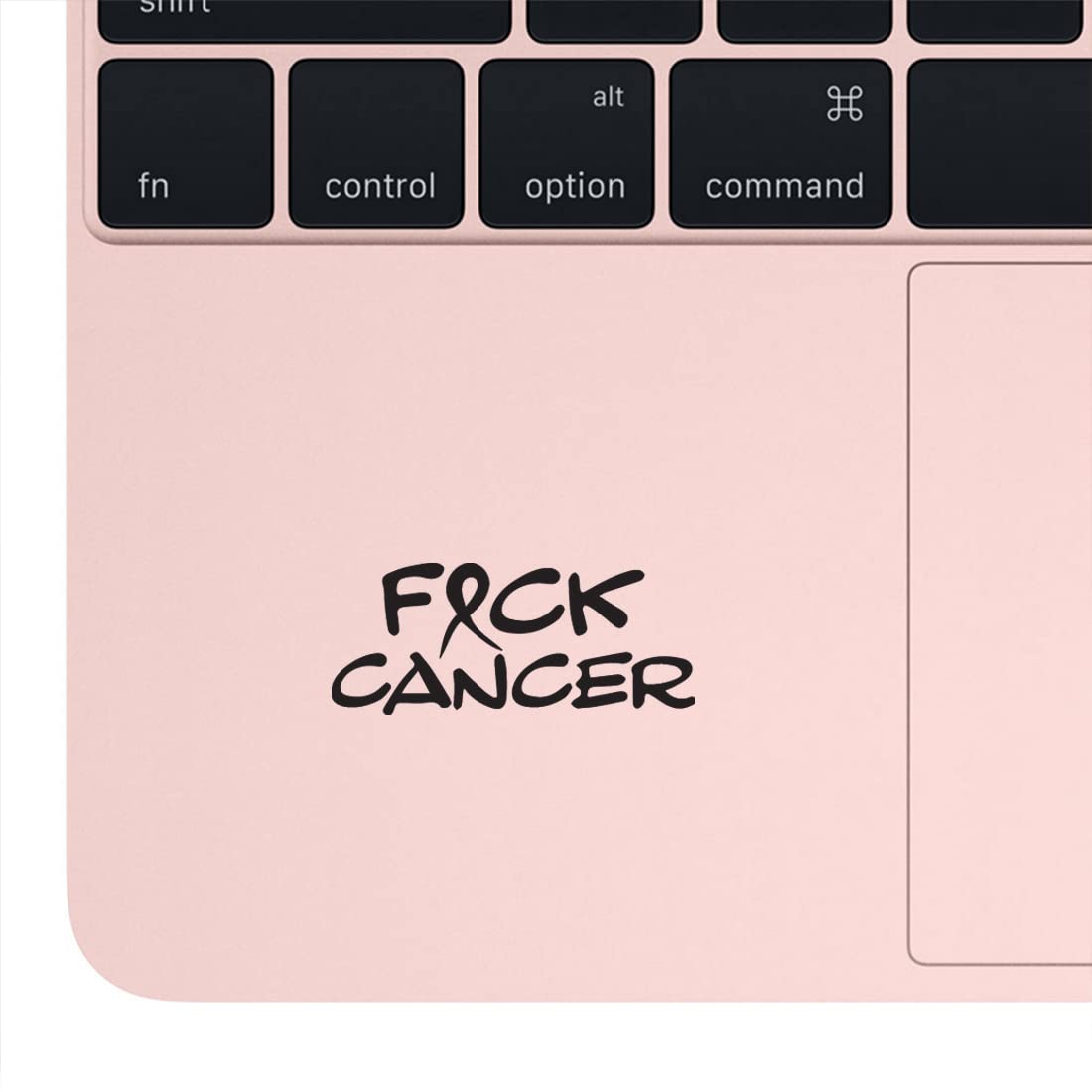 Fk Cancer Quotes (Black) - Set of 2 Premium Waterproof Vinyl Decal Stickers for Laptop, Phone, Helmet, Car Window, Bumper, Mug, Cup, Door & Wall - Motivational Decor for Cancer Awareness & Support