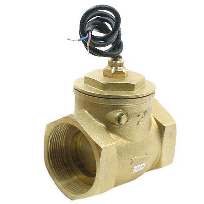 Brass Paddle Type Flow Switch Flowmeter - 2PT Female Thread, 150L/Min, 70W - Ideal for Water Treatment, HVAC Systems & Industrial Applications