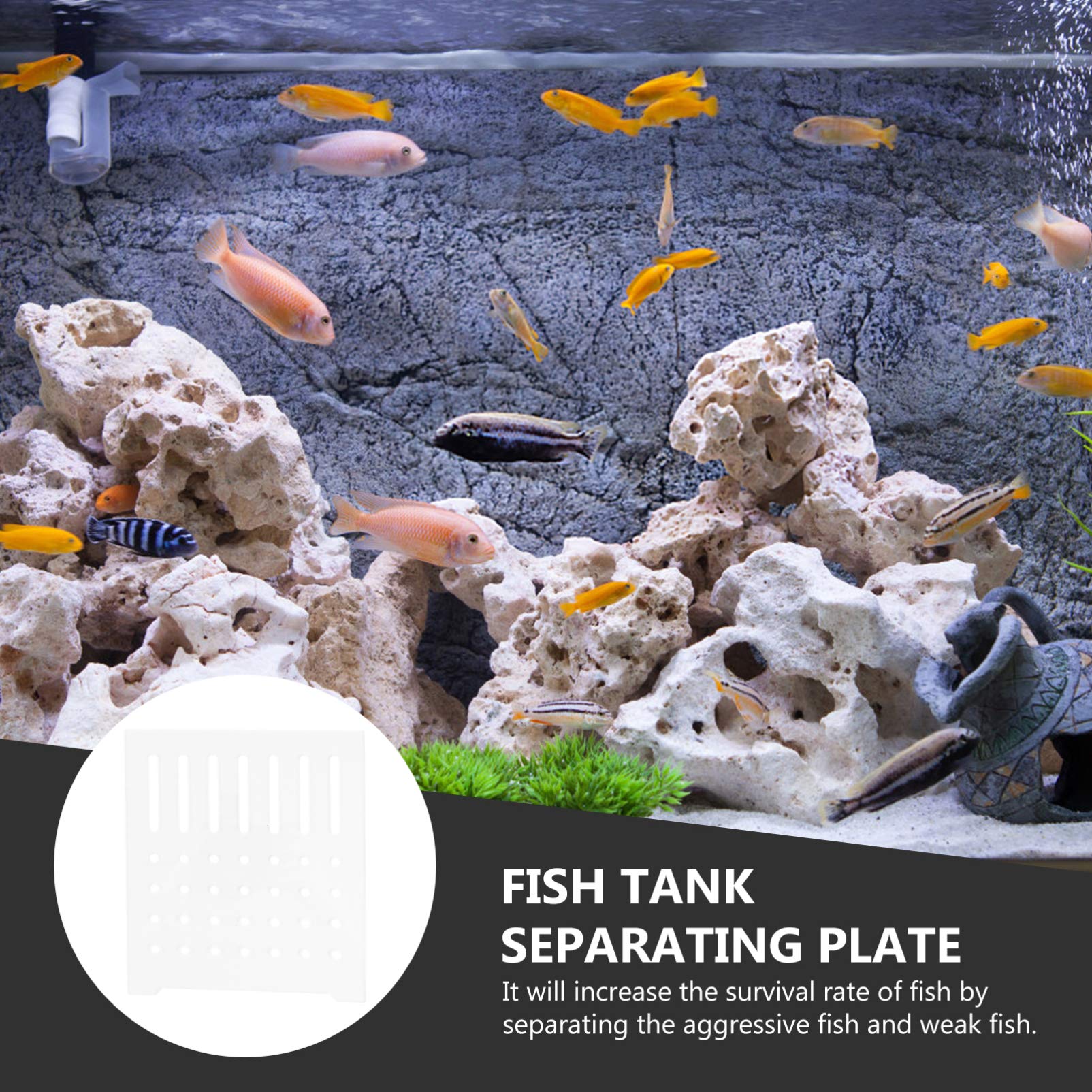 Balacoo Clear Acrylic Aquarium Divider Panel - Fish Tank Separator Grid for Bottom & Breeding