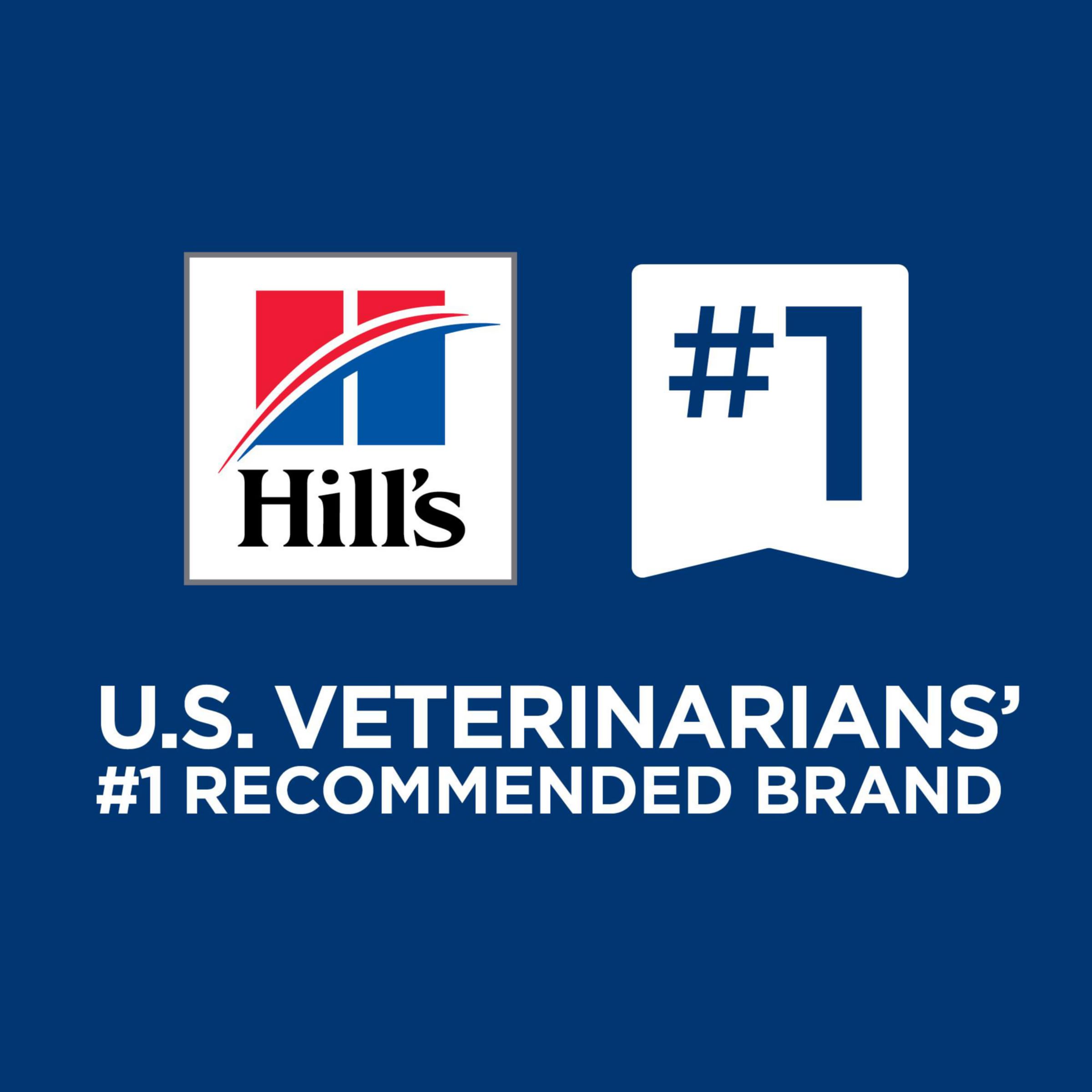 Hill's Prescription Diet d/d Skin/Food Sensitivities Salmon Formula Canned Dog Food - Veterinary Recommended Wet Food for Dogs with Allergies (13 oz, 12-Pack) - Ideal for Sensitive Skin & Digestive Support