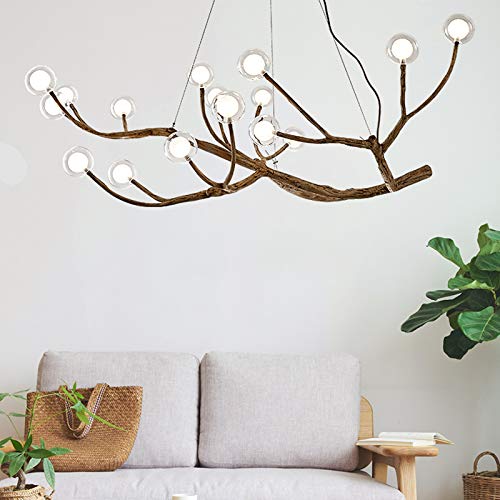 16 Lights