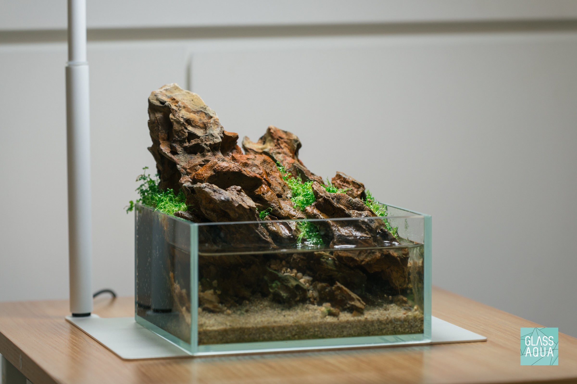 Premium Flat Bottom Dragon Ohko Stone for Aquascaping - Natural Hardscape Rock for Fish Tanks, Aquariums & Zen Gardens