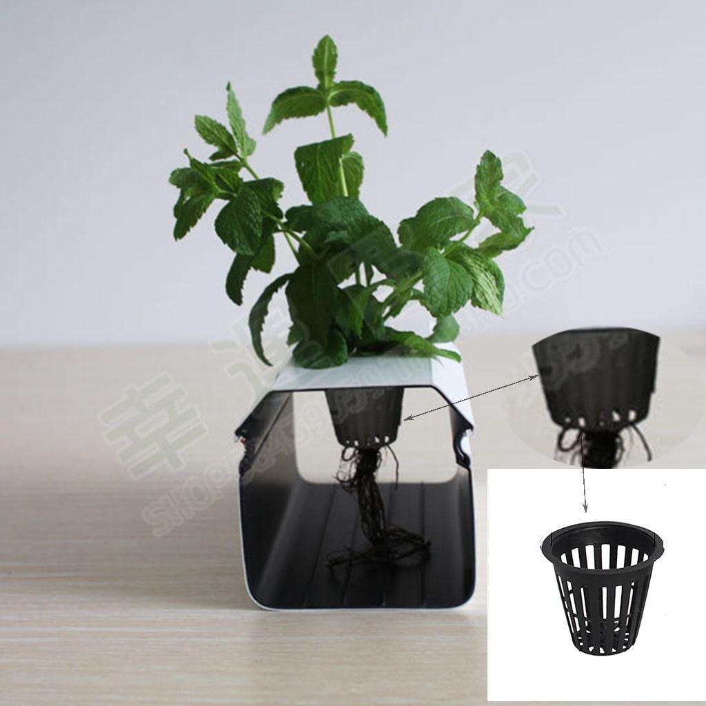 5 Pack Heavy Duty 2 Inch Net Pots for Hydroponics & Aquaponics - Wide Rim Slotted Mesh Plant Cups (White) - Perfect for Indoor Herb Gardens, Seed Starting & Hydroponic Systems