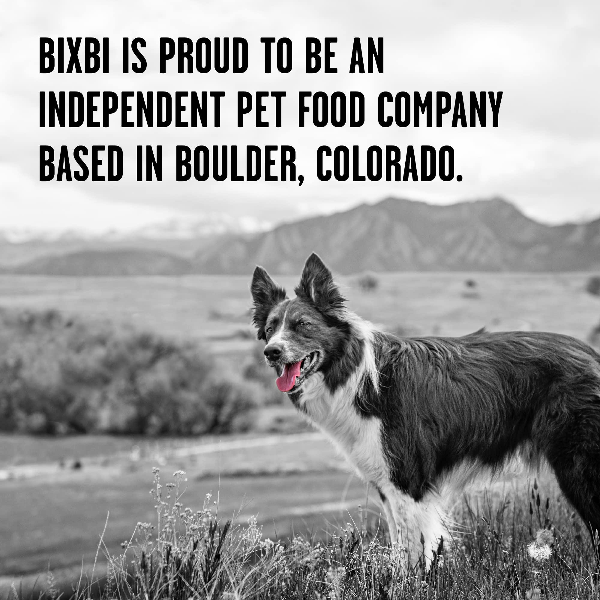 BIXBI Rawbble Freeze Dried Dog Food - Beef Recipe 12oz | 98% Meat & Organs | Grain-Free, No Fillers | Raw Dog Food for Meal, Treat or Topper | USA Made in Small Batches | Perfect for Travel, Hiking & Outdoor Adventures with Your Dog
