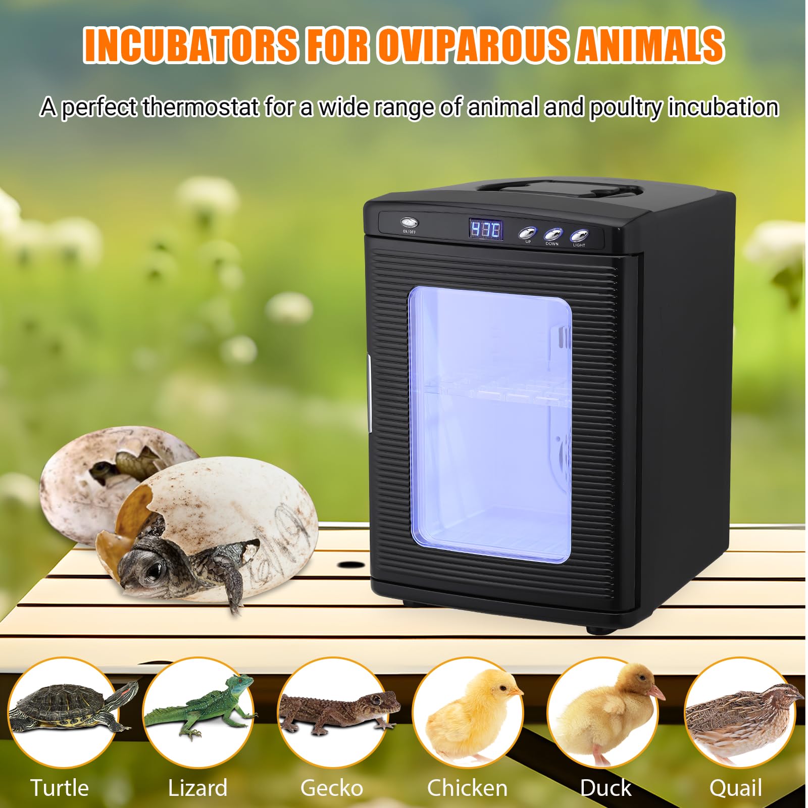 GARVEE 25L Portable Reptile Egg Incubator - Digital Temperature Control 5°C-60°C for Small Reptiles, Snakes & Lizards - Perfect for Home Breeding, Science Labs & Classroom Experiments