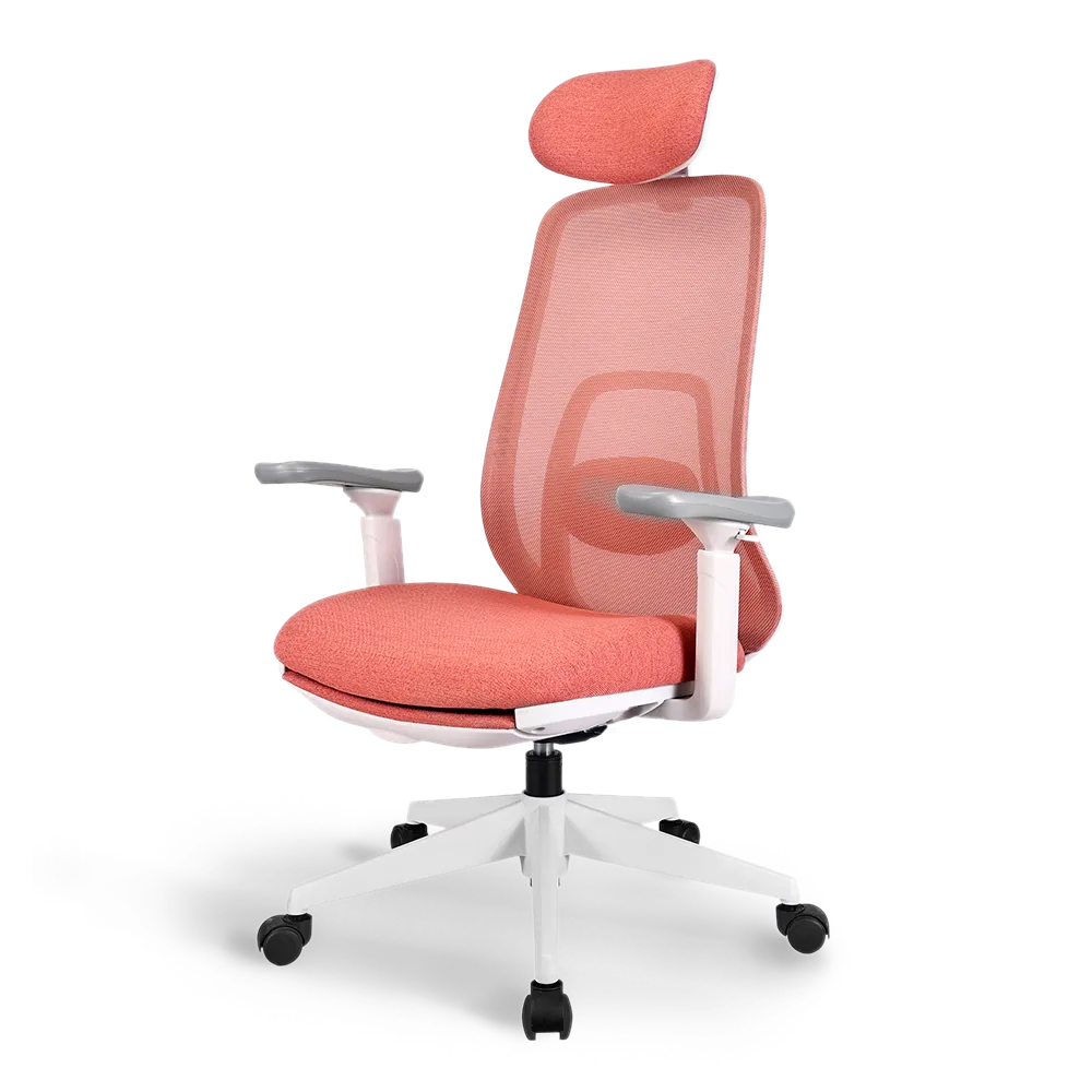 Pluto Ergonomic Office Chair - Adjustable Lumbar Support & Breathable Mesh Back - Perfect for Home Office, Gaming & Workspace