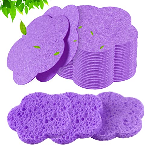 50 Count - Purple