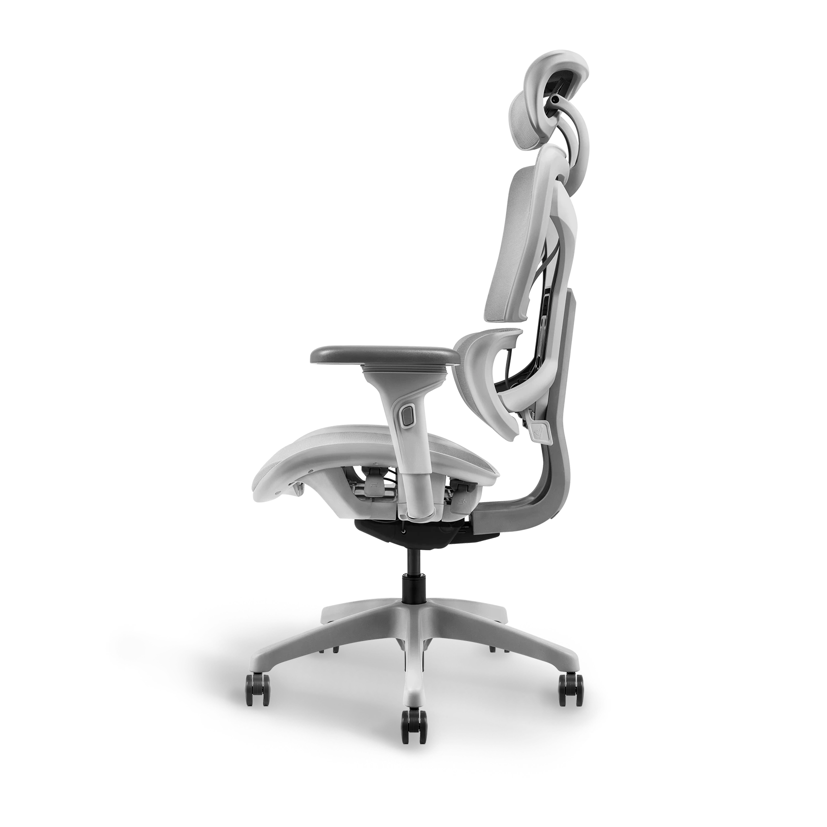 Ayla Ergonomic Office Chair - Adjustable Lumbar Support & Breathable Mesh Back - Perfect for Home Office, Gaming & Workspaces