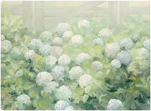 Hydrangea Lane Crop