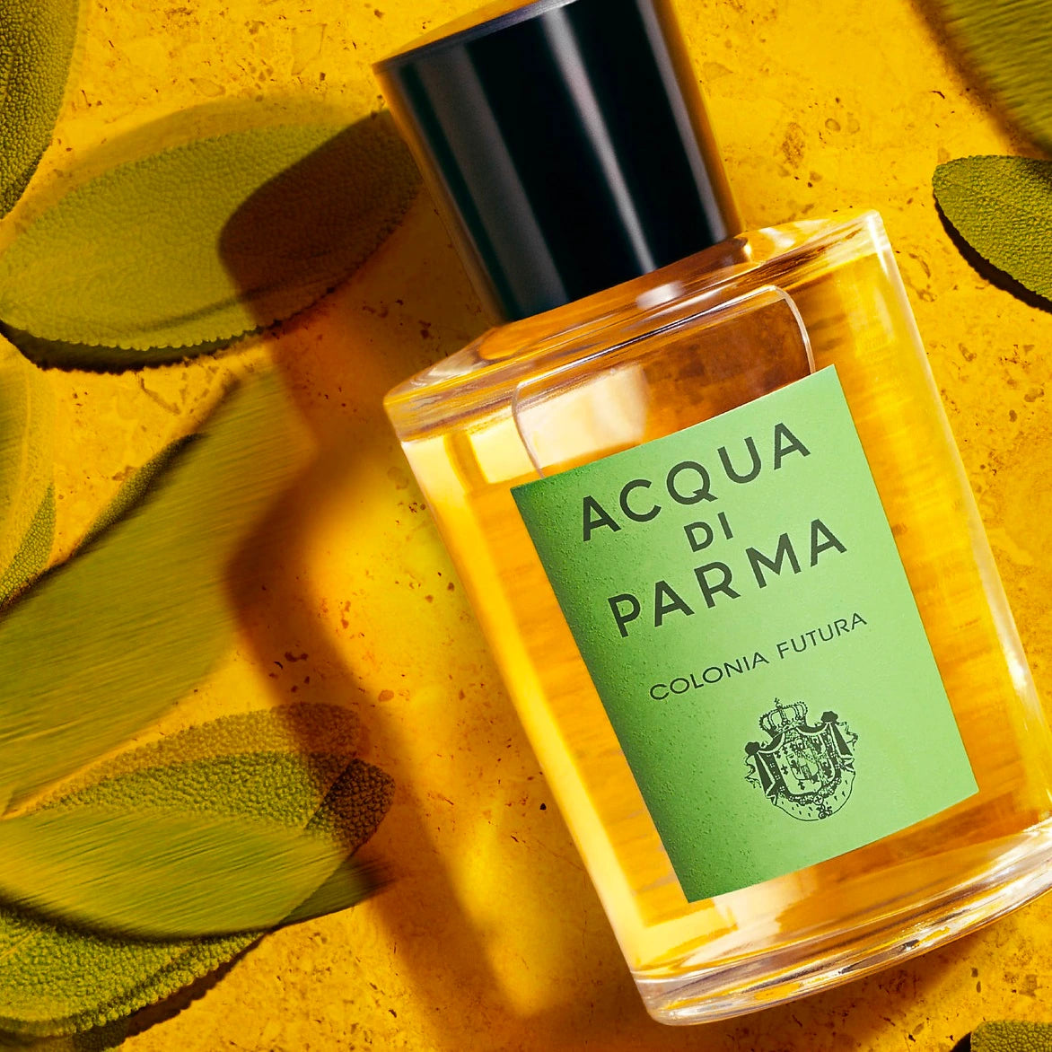 Acqua Di Parma Colonia Futura 3.4 oz Eau de Cologne for Men - Fresh Citrus & Woody Scent, Long-Lasting Fragrance for Daily Wear & Special Occasions
