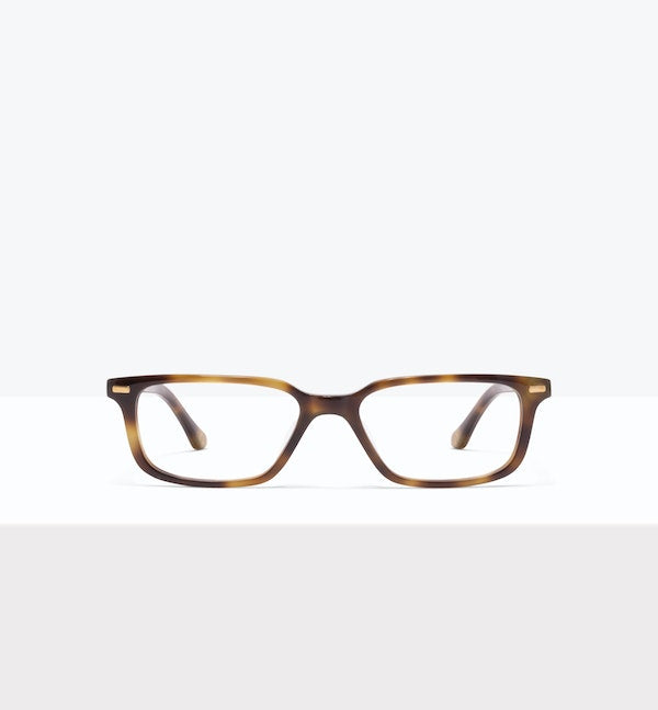 Stylish Scenery Eyeglasses for Men & Women - Polarized Sunglasses for Outdoor Activities, Hiking, Driving & Travel - UV Protection Fashion Eyewear