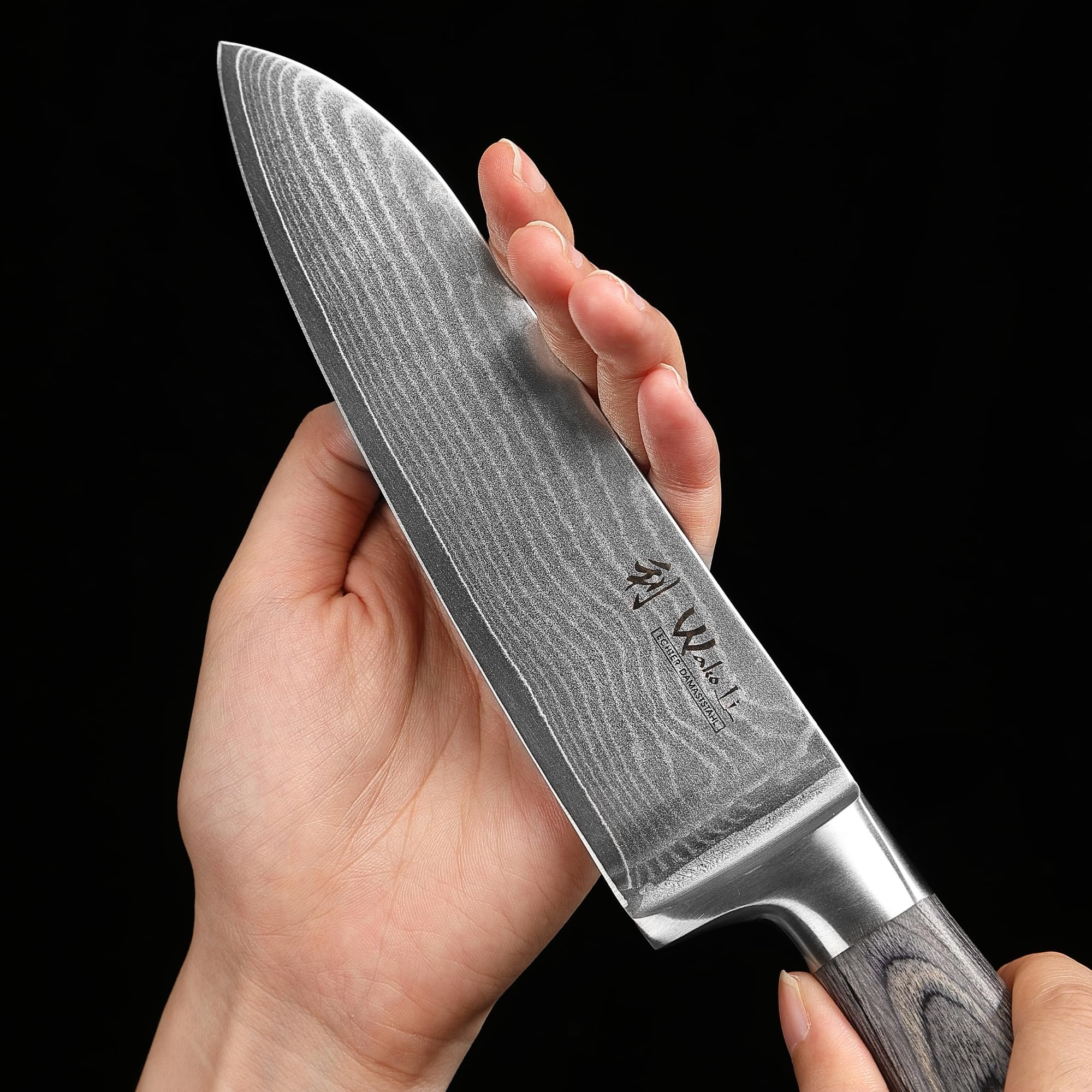 Wakoli 4-Piece Professional Damascus Kitchen Knife Set - 67-Layer Genuine Damascus Steel with VG10 Core, Ergonomic Pakkawood Handles - Perfect for Chefs, Home Cooking & Meat Cutting