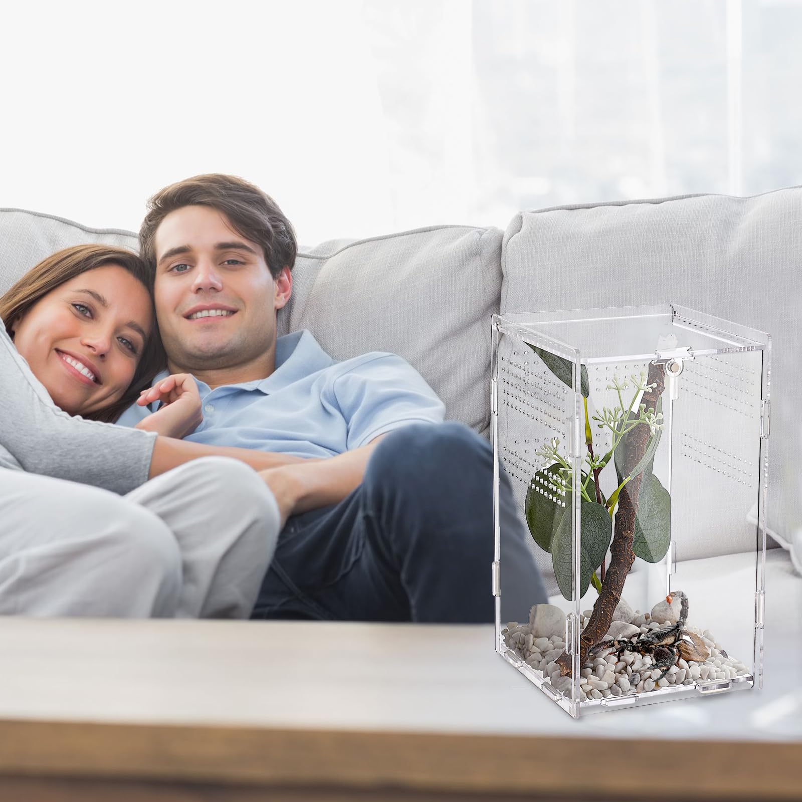 Premium Jumping Spider Terrarium - 4.7x4.7x7.9 Inch Glass Enclosure for Tarantulas, Reptiles & Hermit Crabs | Ideal for Pet Spiders, Small Reptiles & Micro Habitats | Perfect for Home, Office or Classroom Observation