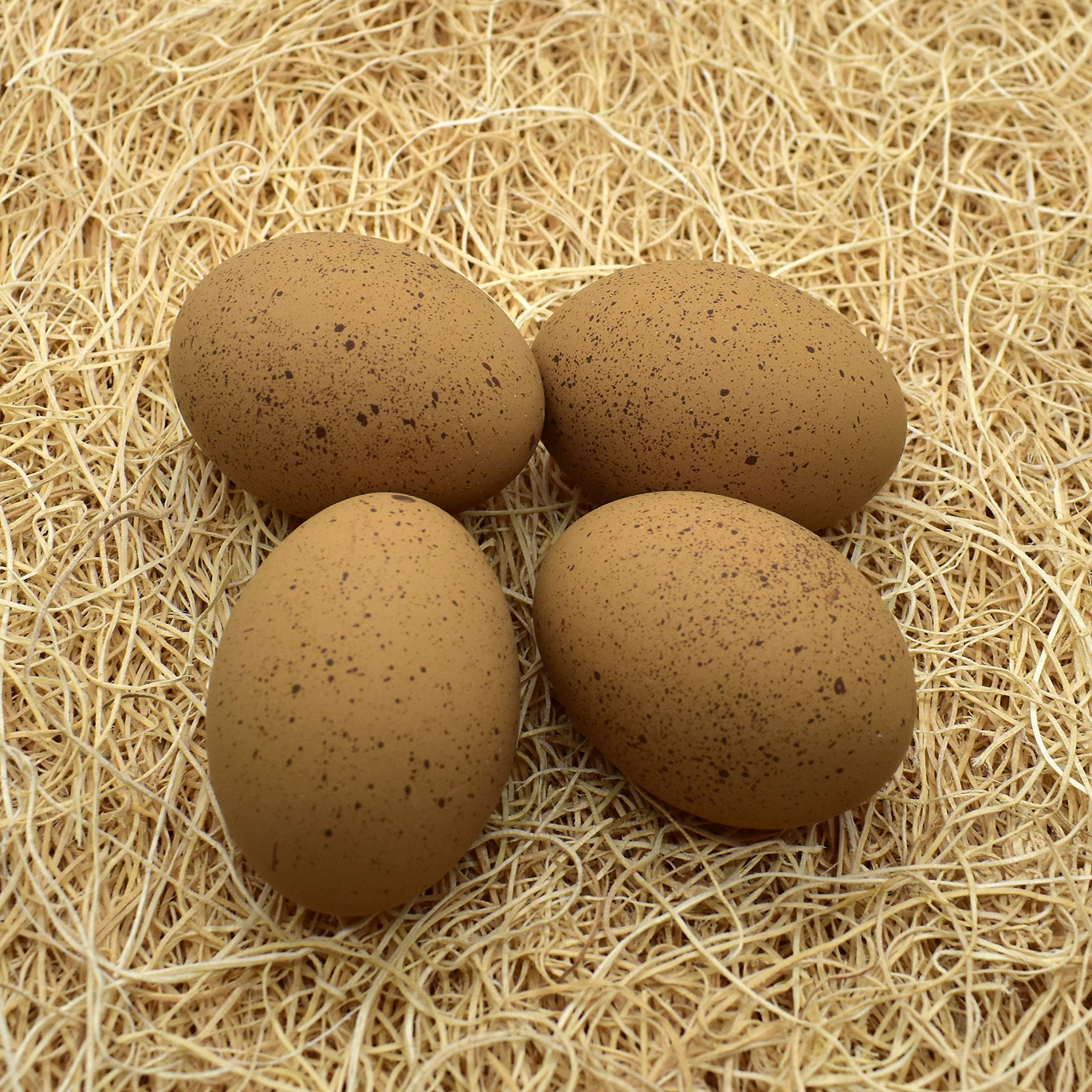4-Pack Brown Speckled Ceramic Nest Eggs for Chicken Coops - Realistic Fake Eggs for Broody Hens & Poultry Training