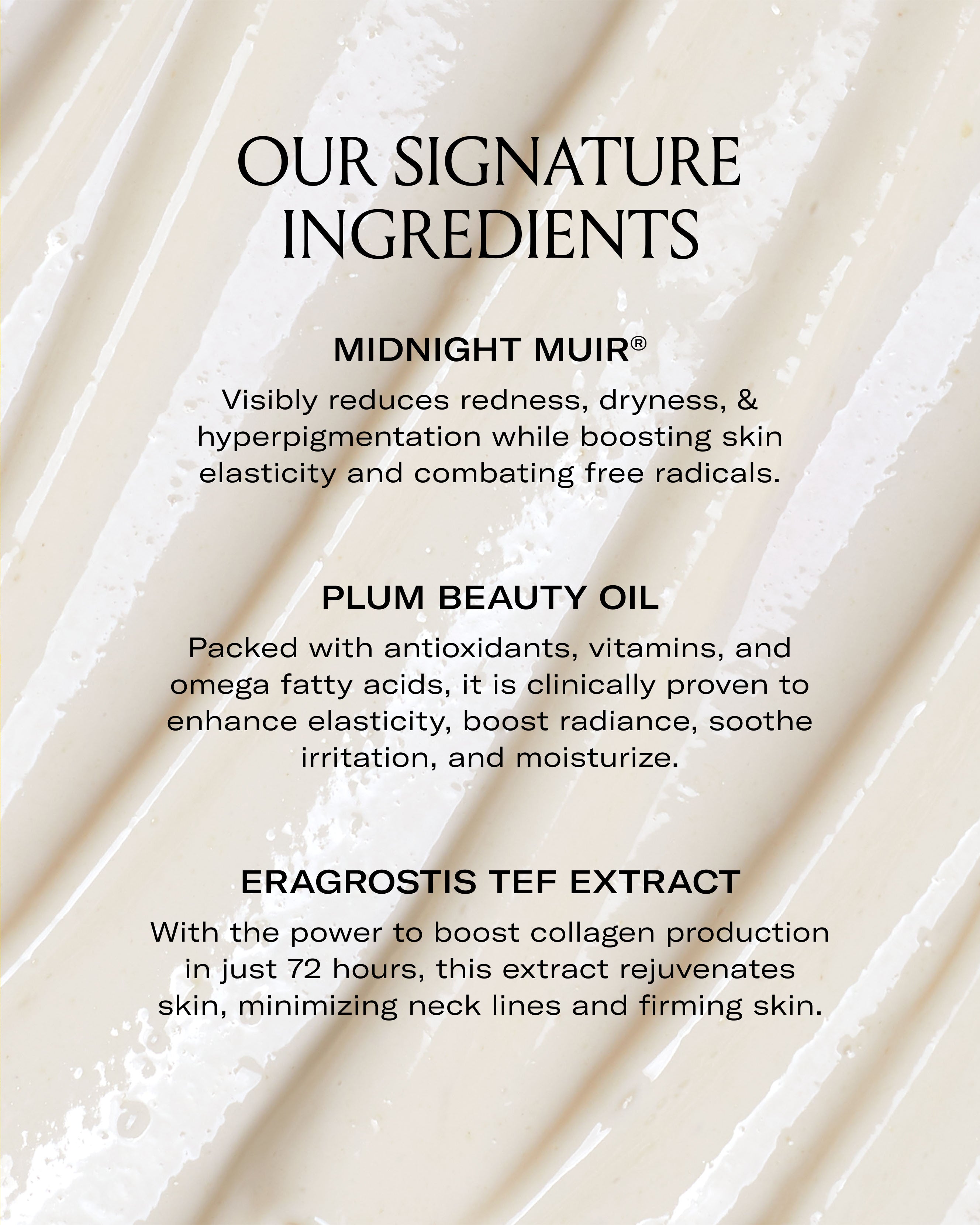 Le Prunier Plumbody Organic Face Oil - Hydrating & Anti-Aging Skincare for Dry Skin | Perfect for Night Routine & Travel Skincare