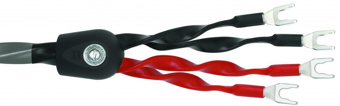 Wireworld Equinox 10 Bi-Wired High Performance Speaker Cable - Premium Audio Cable for Home Theater & Hi-Fi Systems - Perfect for Surround Sound & Audiophile Setups