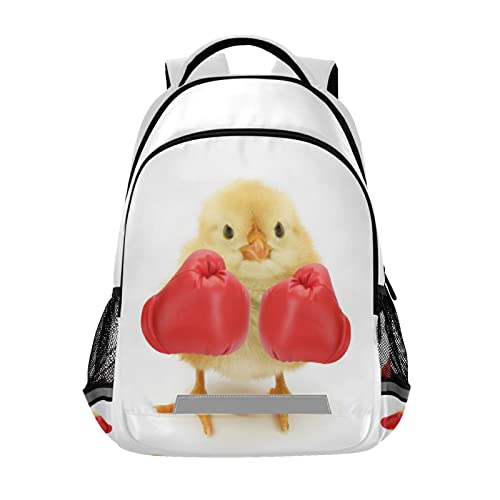 M Chicken Yellow Animal