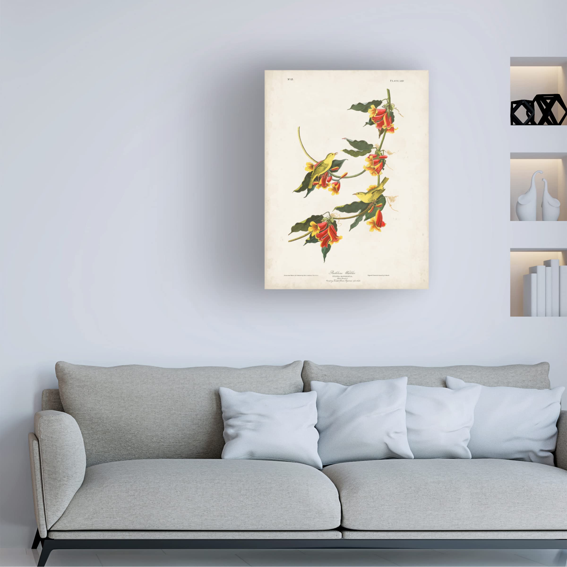 John James Audubon 'Rathbone Warbler' Canvas Art Print - 24x32 Inches - Premium Wall Decor for Living Room, Bedroom & Office - Trademark Fine Art Collection