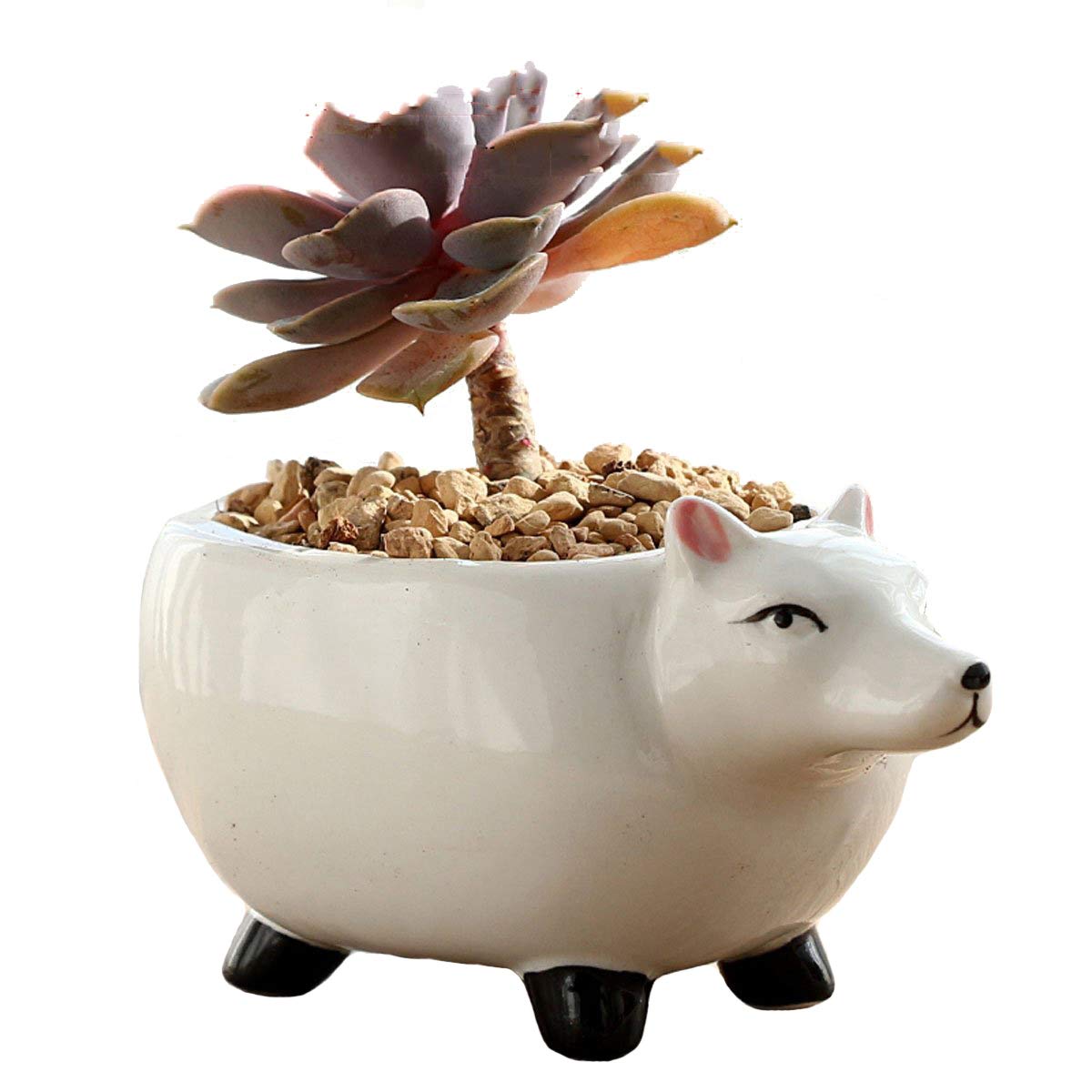Cute Ceramic Cartoon Animal Flower Pot - Fox Design Succulent Planter & Vase for Home Decor, Office Desk, Garden, and Gift Ideas