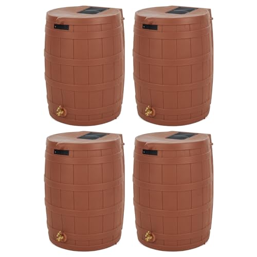 Terra Cotta