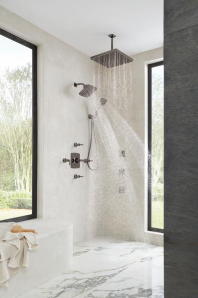 Brizo 88867 BNX Brilliance Black Onyx 4-Setting 1.75 GPM Wall Mount Hand Shower - Perfect for Bathroom, Spa, and RV Use