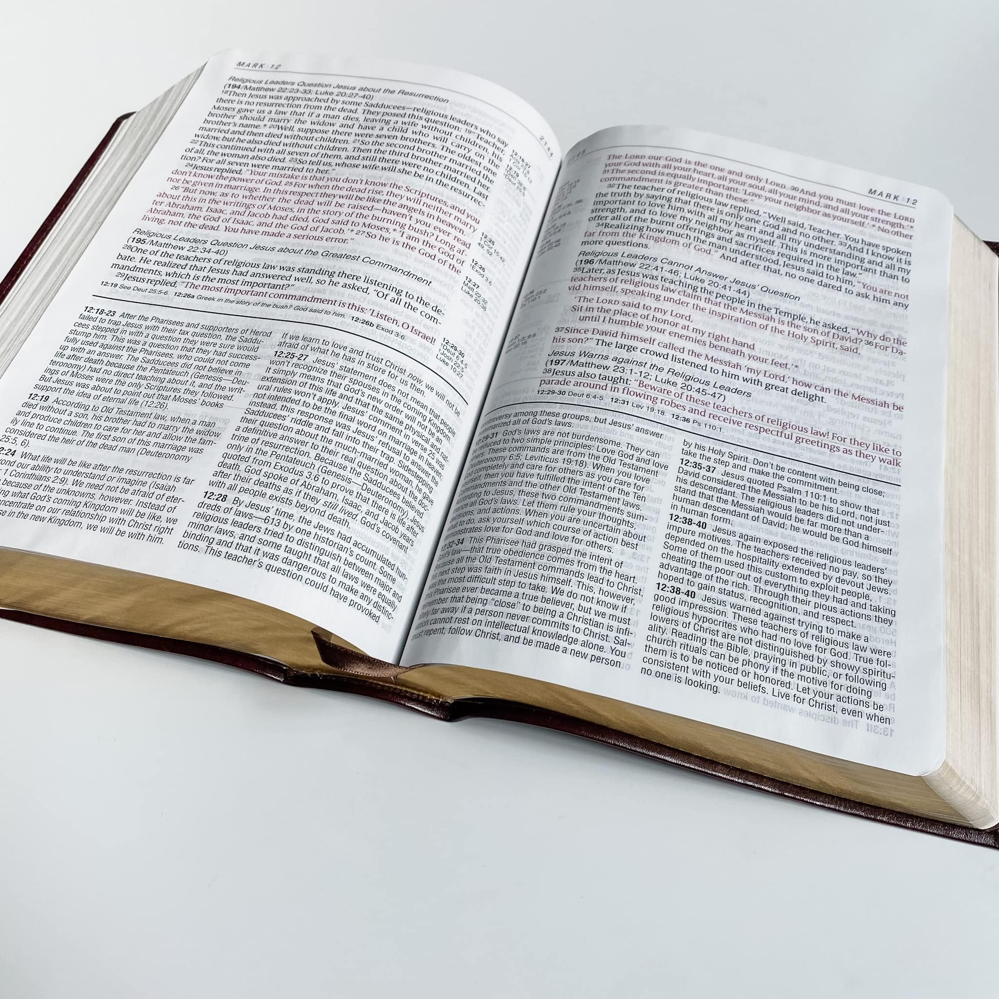 NIV Study Bible - Brown & Blue Hand-Illustrated Laser-Engraved Personalized Gift with Custom Name Engraving for Birthday, Graduation, Baptism, Wedding, Anniversary | Perfect for Bible Study, Church Services & Special Occasions