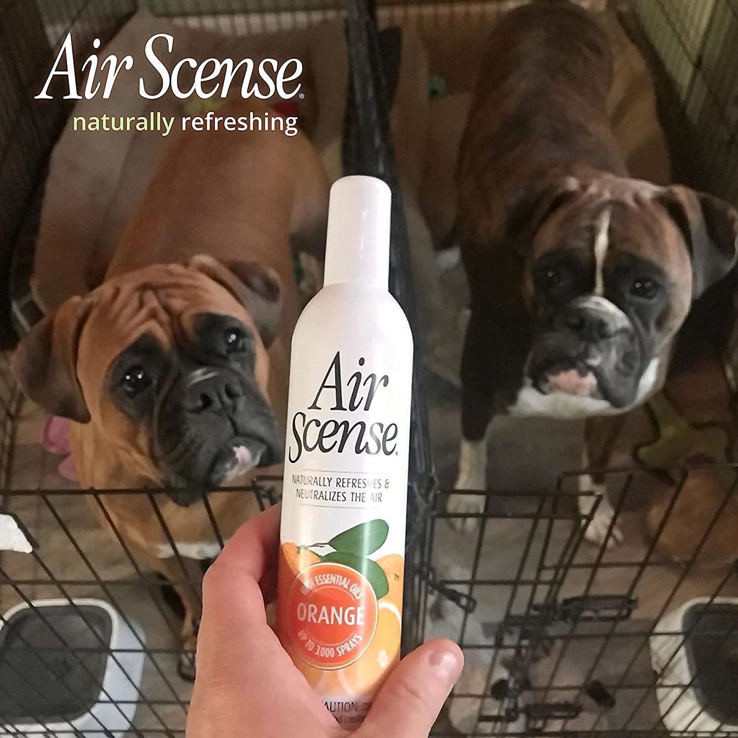 Citra Solv & Air Scense Special Bundle - Concentrated Cleaner & Degreaser with Essential Oil Air Freshener | Non-Aerosol Household Cleaning Kit in Valencia Orange Scent | Perfect for Kitchen, Bathroom & Office Spaces