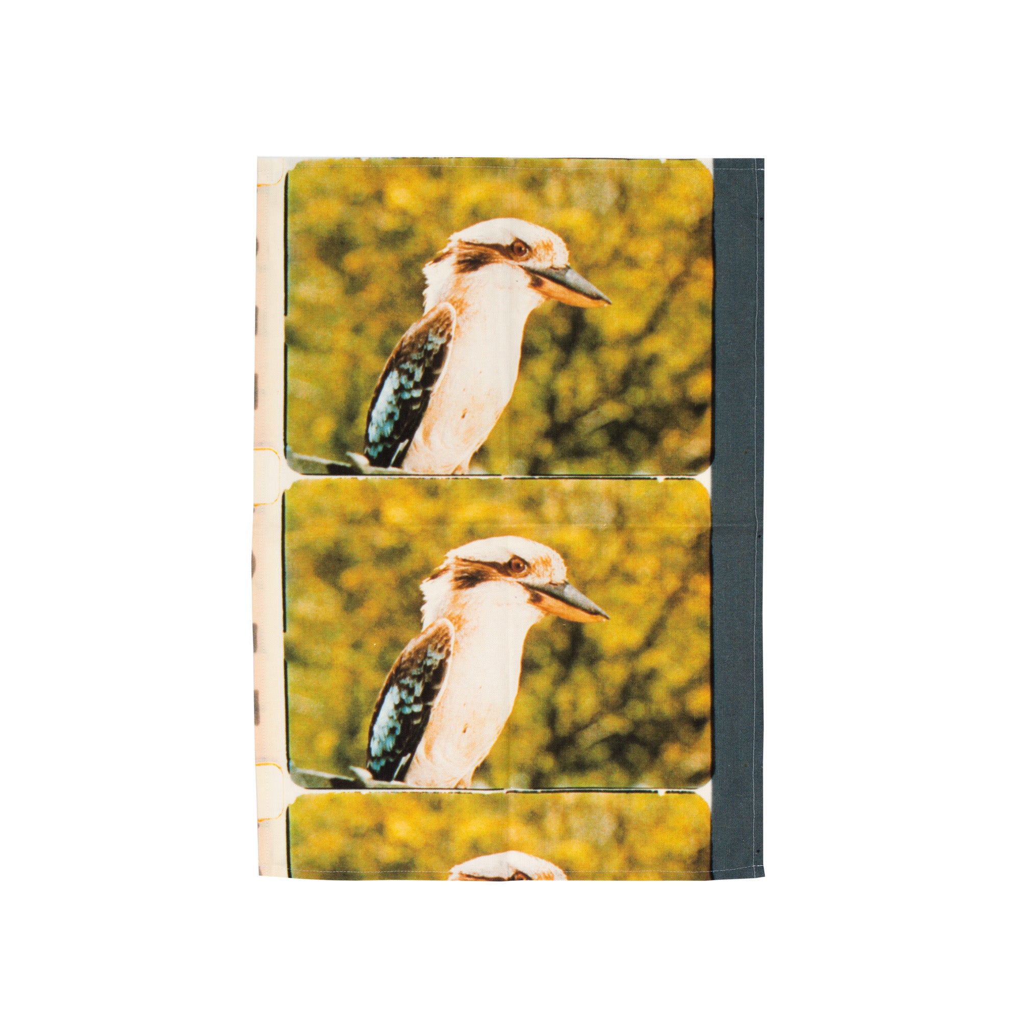 ACMI Collections Archive Kookaburra Tea Towel - Premium Australian Kitchen Towel for Drying Dishes & Decor - Perfect for Home, Cafe, and Gift Use