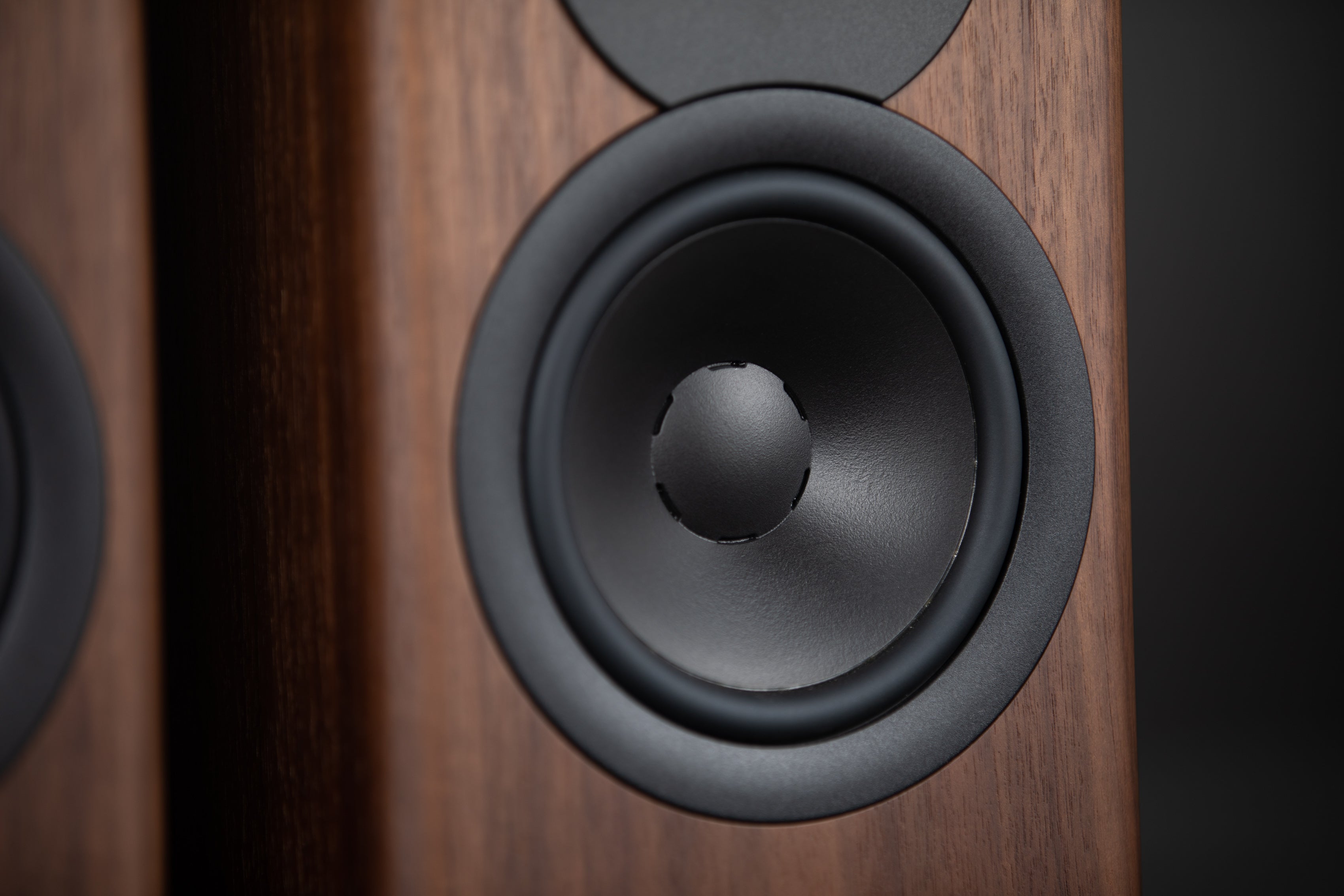 Dynaudio Evoke Passive Bookshelf Speakers - High-End Audiophile Sound for Home Theater & Music Listening | Perfect for Living Room, Studio & Hi-Fi Systems