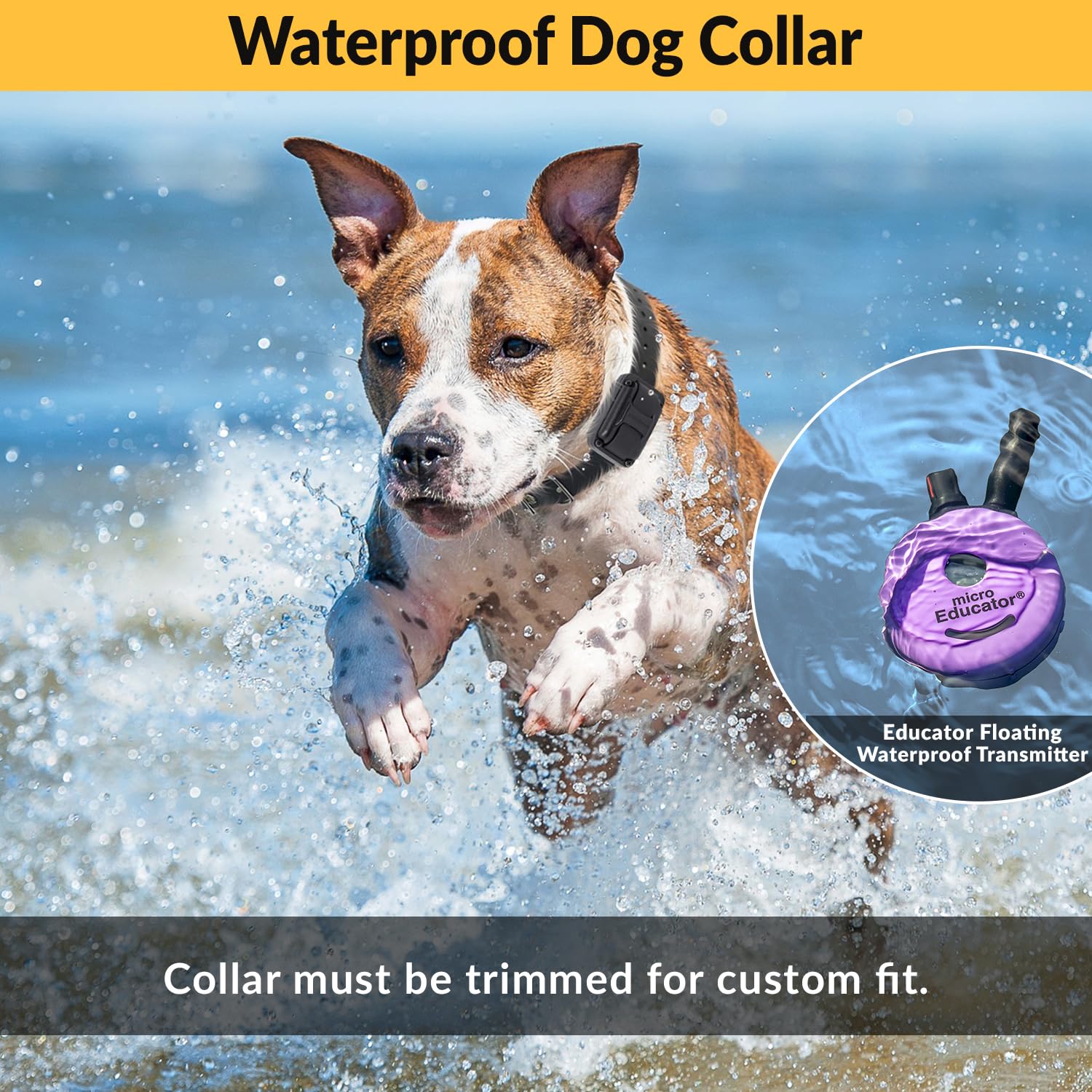 Humane Dog Training Collar with Remote - Educator E-Collar for Small Dogs | 100 Safe Stimulation Levels, Waterproof, Rechargeable, Night Light | 1/3 Mile Range | Perfect for Obedience Training, Behavior Correction & Night Walks (Purple)