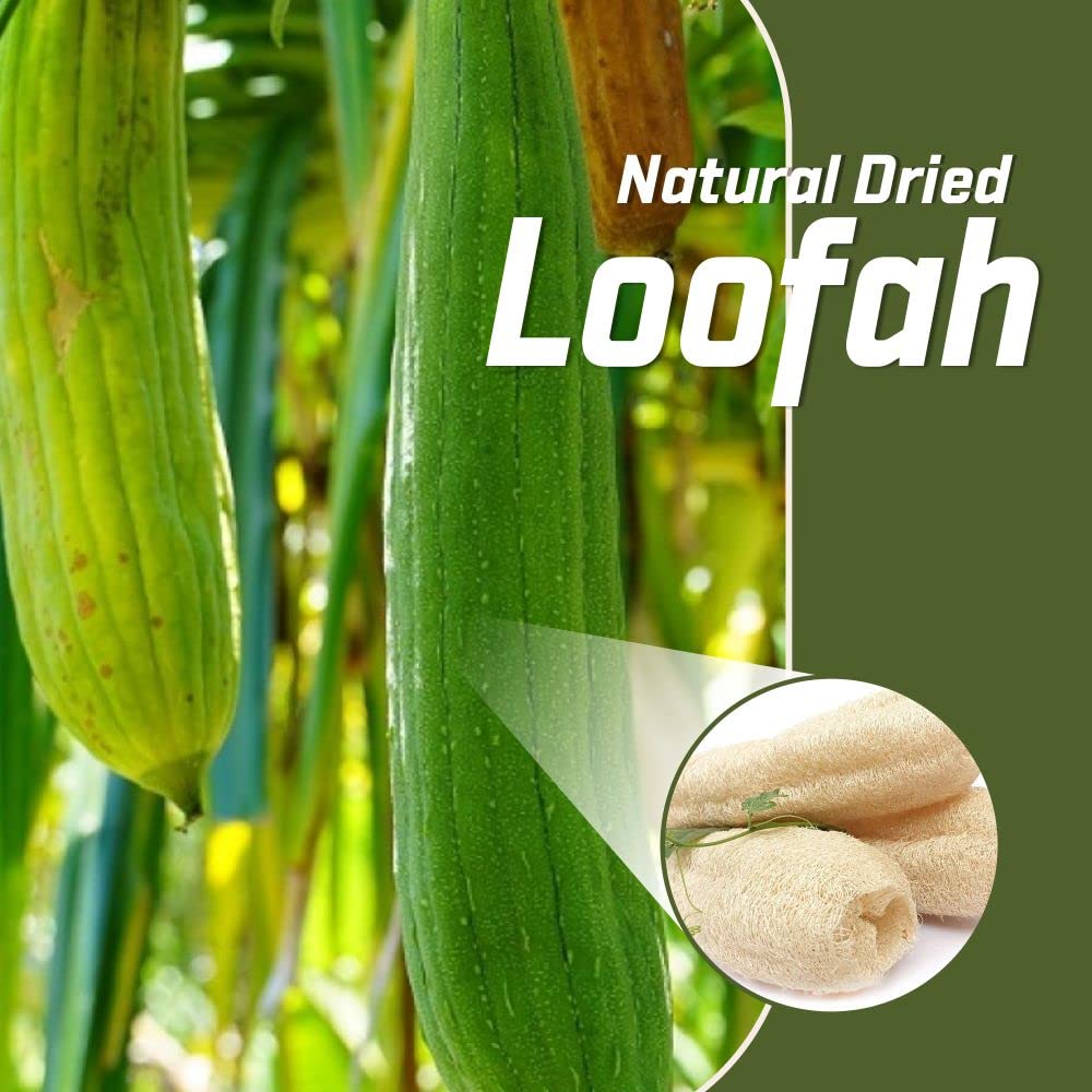 Organic Loofah Sponge Body Scrubber for Men & Women - 4 Pack Eco-Friendly Bath Exfoliator | Biodegradable Skin Care for Sensitive Skin | Perfect for Shower, Spa & Daily Exfoliation Routine