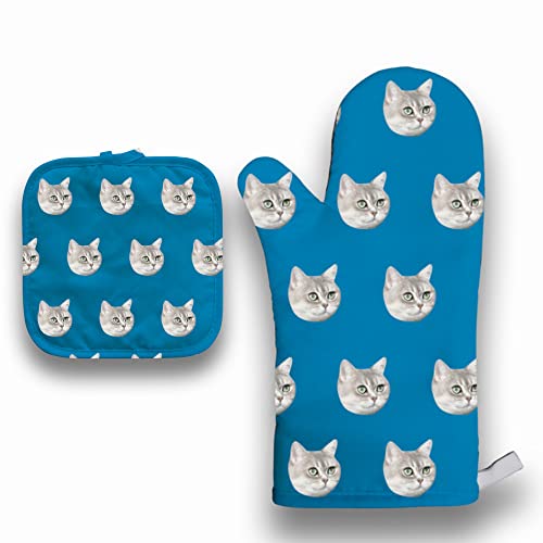 Sky Blue Cat