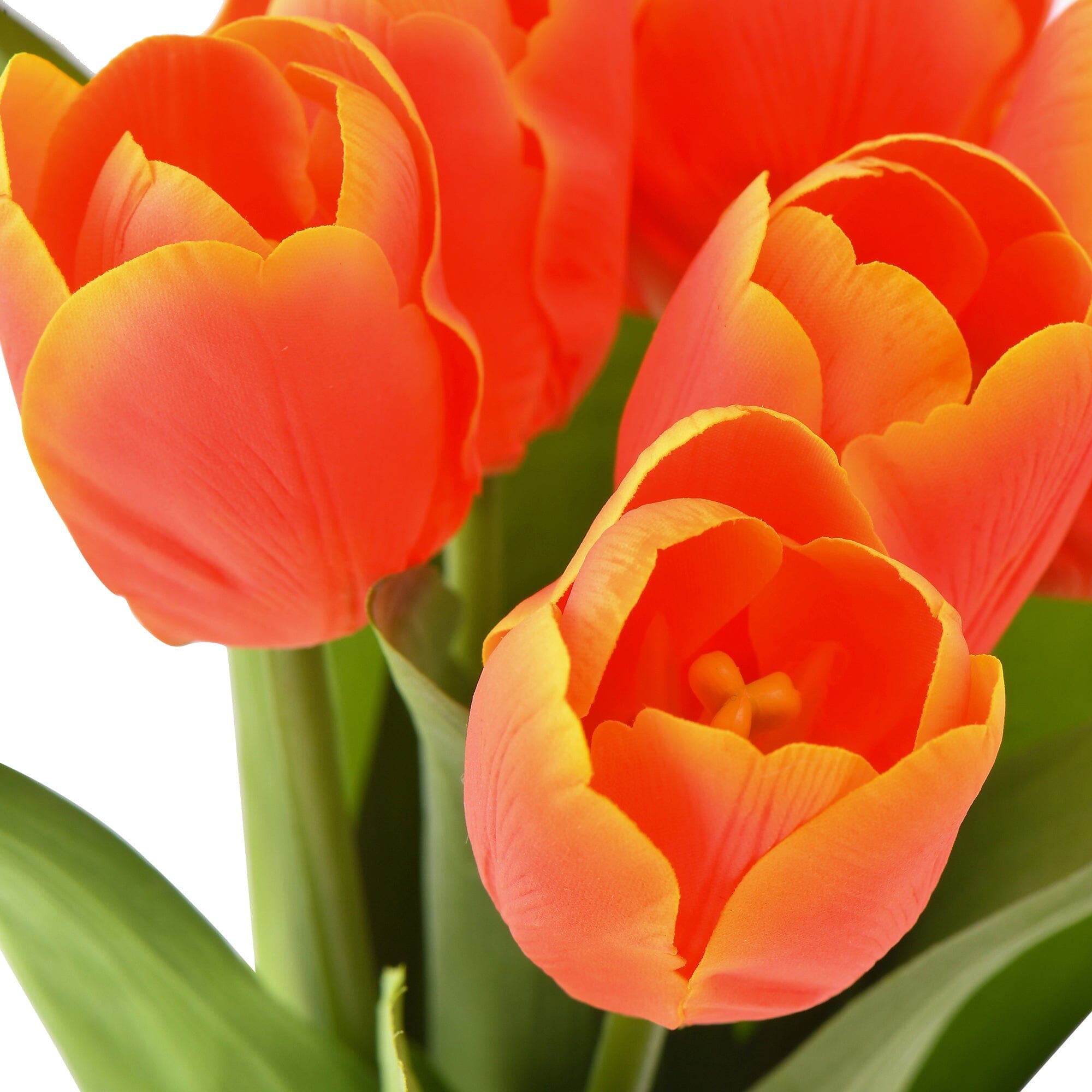 Real Touch Artificial Tulip Bouquet - Orange Silk Flowers for Home Decor, Wedding Centerpieces & Office Arrangements