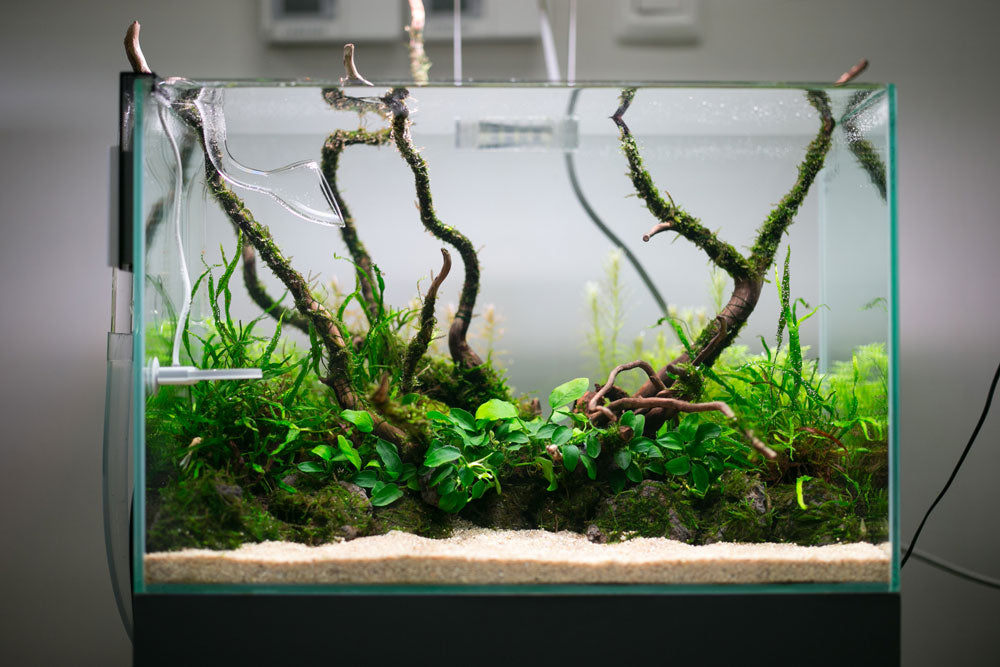 Aquario Neo Soil - Premium Planted Aquarium Substrate for Healthy Aquatic Plants | Ideal for Shrimp Tanks, Nano Aquariums & Planted Aquascapes