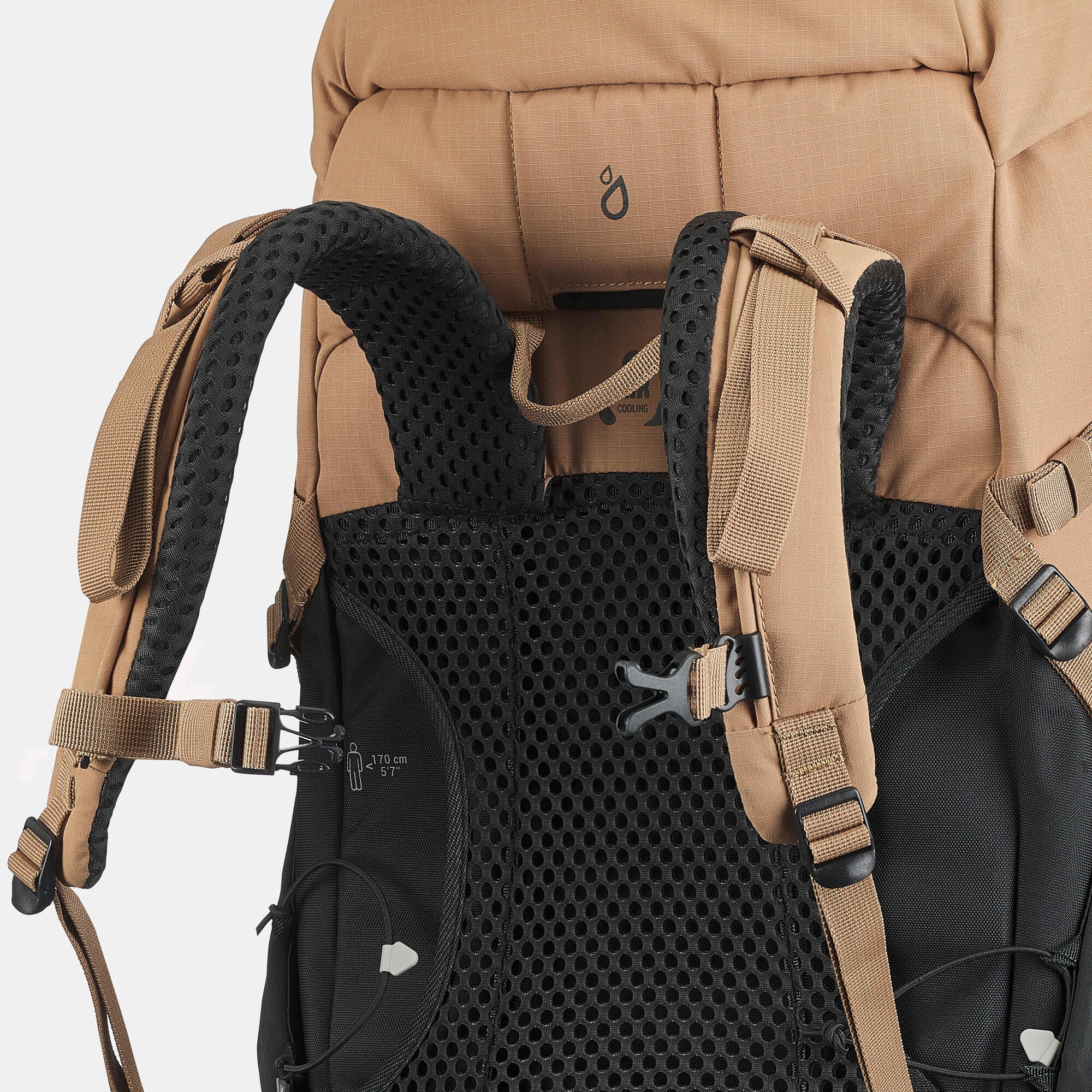 Quechua MH500 40L Hiking Backpack - Lightweight Waterproof Outdoor Backpack for Men & Women - Perfect for Trekking, Camping & Travel Adventures