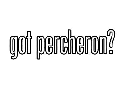 EW Designs Percheron Draft Horse Vinyl Sticker Decal - 5