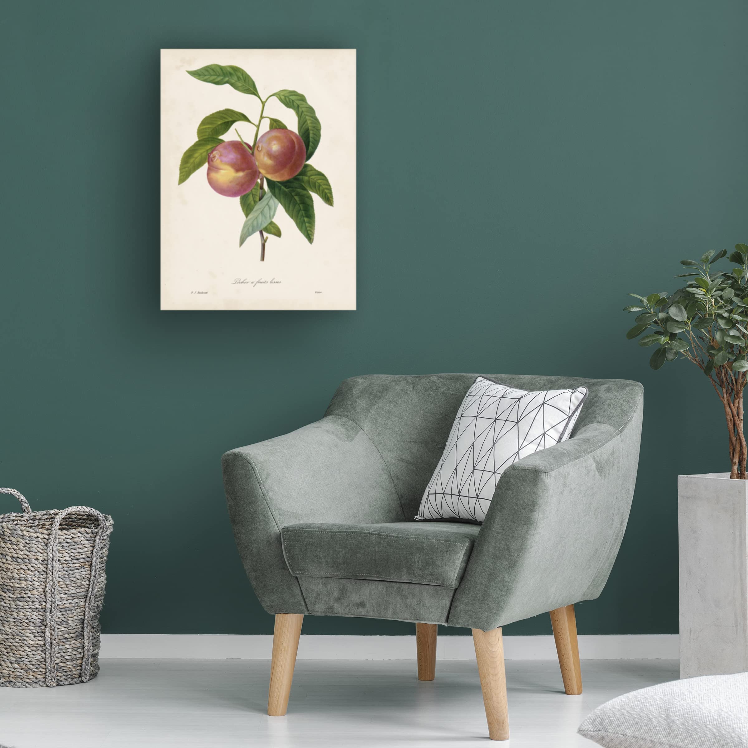 Trademark Fine Art 'Redoutes Fruit II' Canvas Wall Art Print by Pierre Redoute - Elegant Botanical Decor for Dining Room, Living Room & Office
