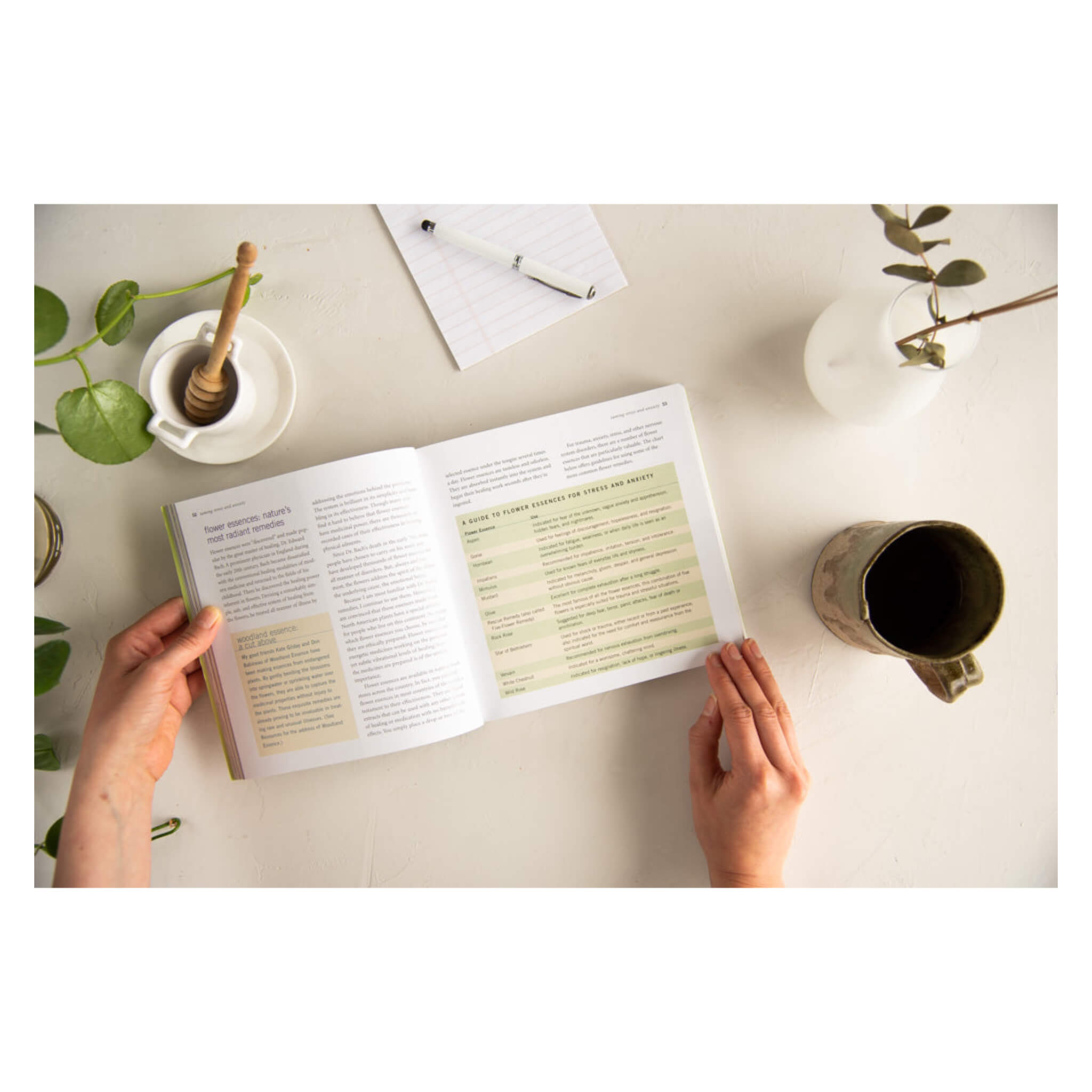 Best Herbal Recipes for Vibrant Health & Wellness | Natural Remedies for Energy, Immunity & Detox | Perfect for Home Cooking & Healthy Lifestyle