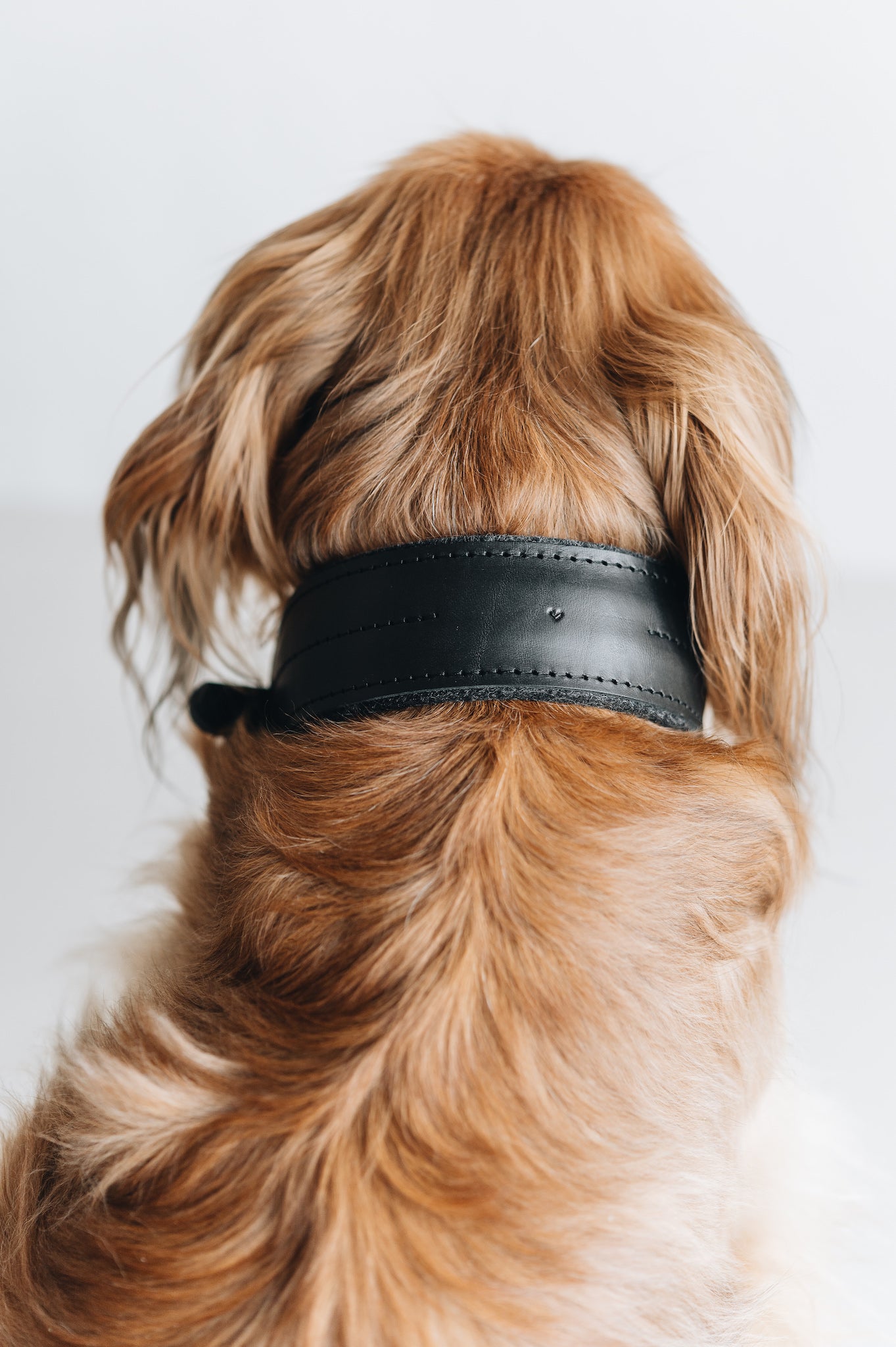 Premium Vegan Pine Leather Dog Collar - Eco-Friendly & Durable Pet Accessory for Small Medium Large Dogs - Perfect for Daily Walks, Training & Outdoor Adventures