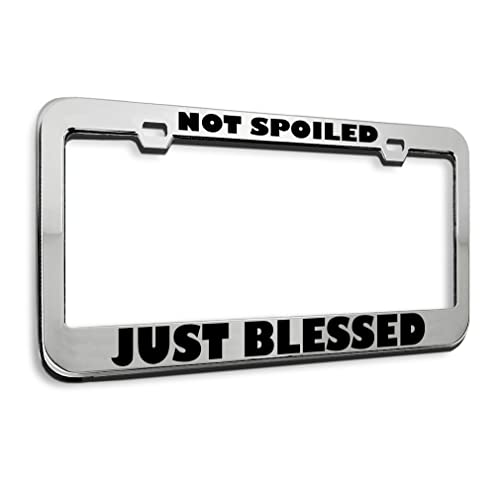 Stainless Steel 2 Holes