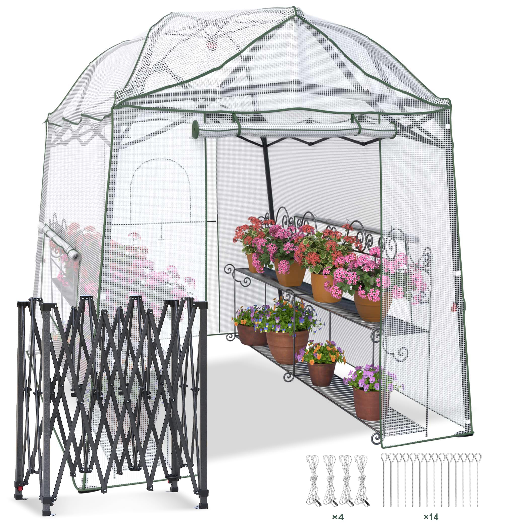 8.5 x 7 FT Walk-in Greenhouse for Plants | Portable Pop-up Garden Canopy with Adjustable Height & Durable PE Cover | Indoor Outdoor Use for Gardening, Seed Starting, Plant Protection (Clear/White)