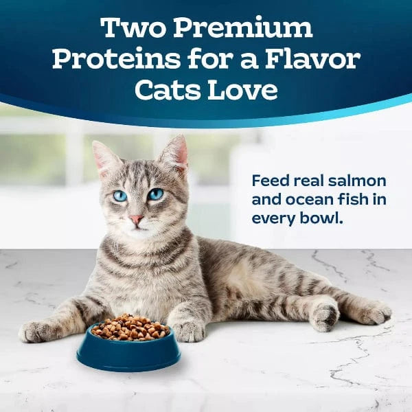 Premium BLUE Tastefuls Multi Protein Salmon & Ocean Fish Dry Cat Food - High Protein Recipe for Adult Cats, 7lb Bag - Ideal for Indoor & Outdoor Cats' Daily Nutrition
