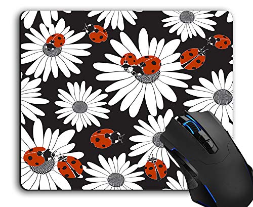 Ladybugs