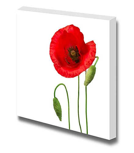 Poppy Flower