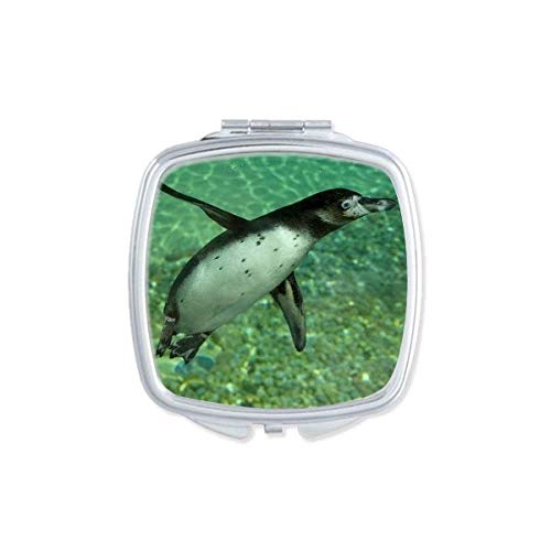 DIYthinker Portable Double-Sided Glass Mirror with Southern Penguin Science Nature Picture - Compact Pocket Makeup Mirror for Travel, Home & Office Use