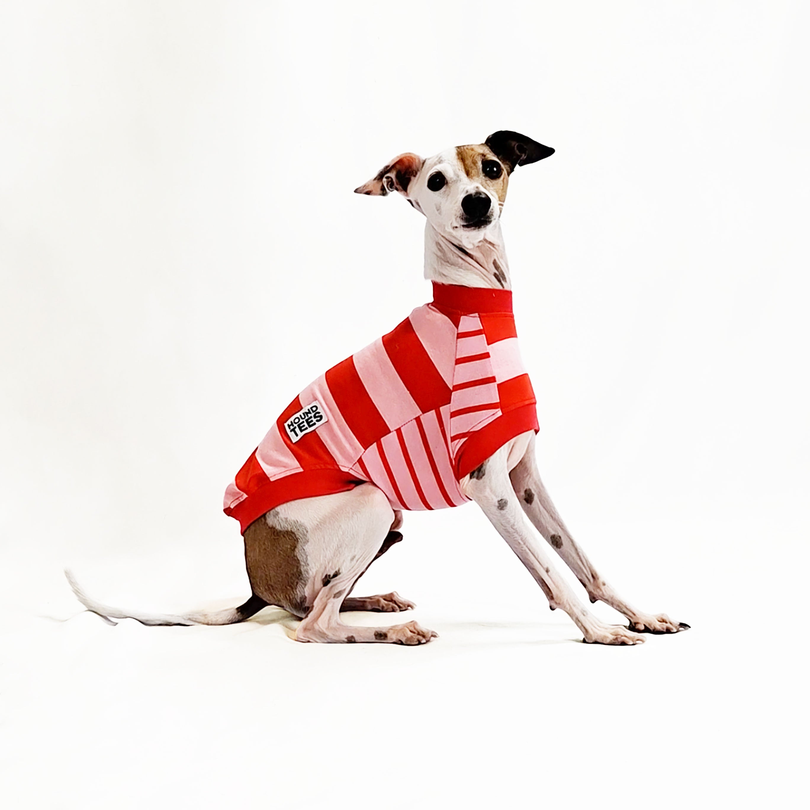 Italian Greyhound Sleeveless Dog T-Shirt - Cute Hound Print Pet Tee for Small Dogs - Perfect for Summer Walks & Outdoor Adventures