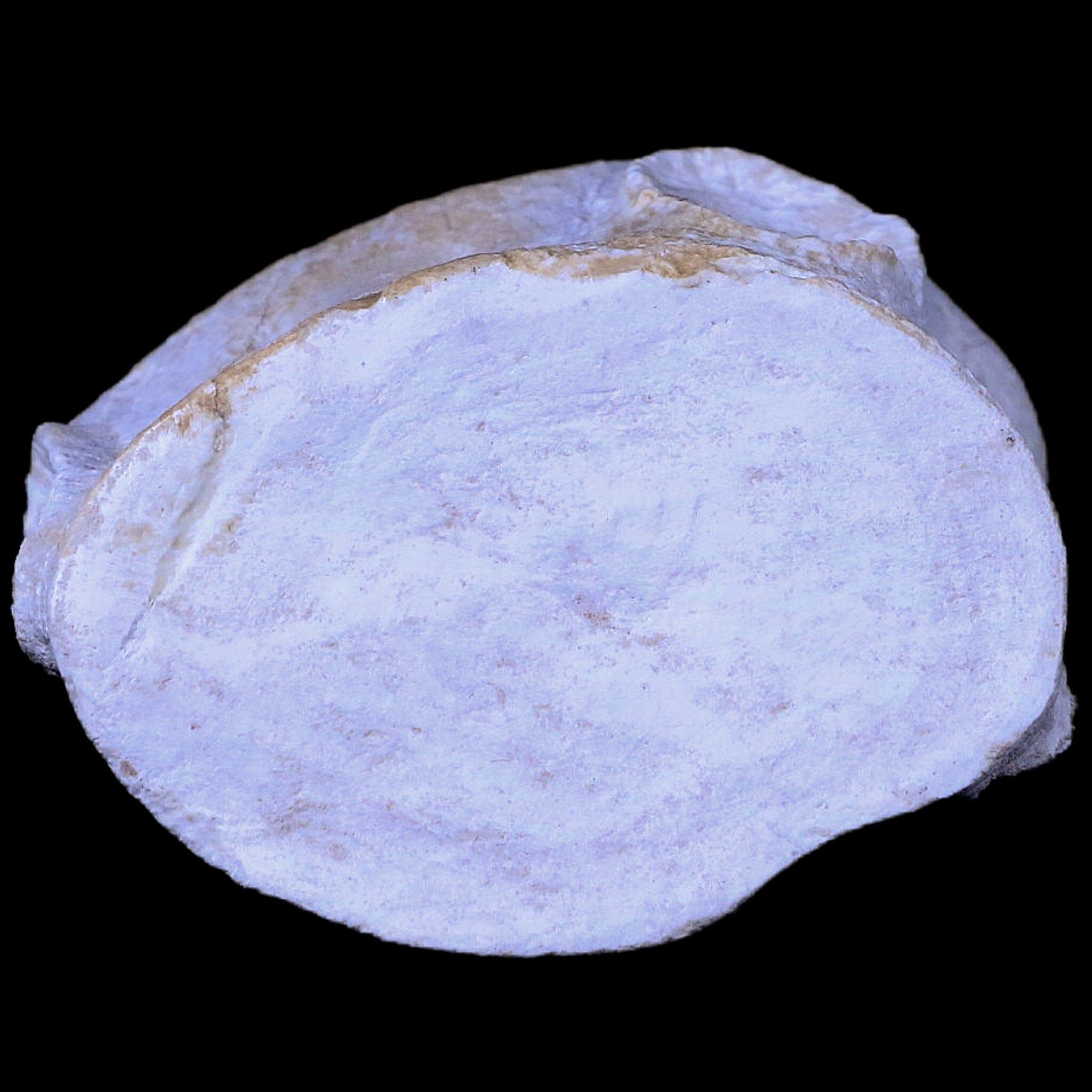 2.6